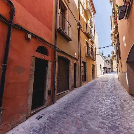 Bravissimo Sant Josep, Cosy خيرونا