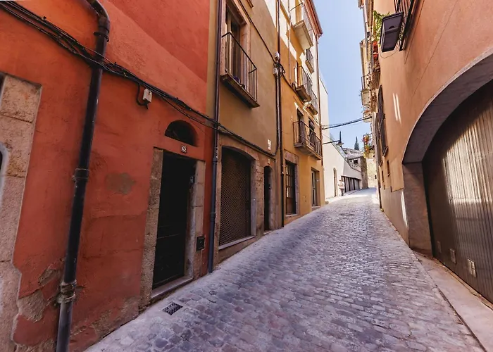 Bravissimo Sant Josep, Cosy Χιρόνα